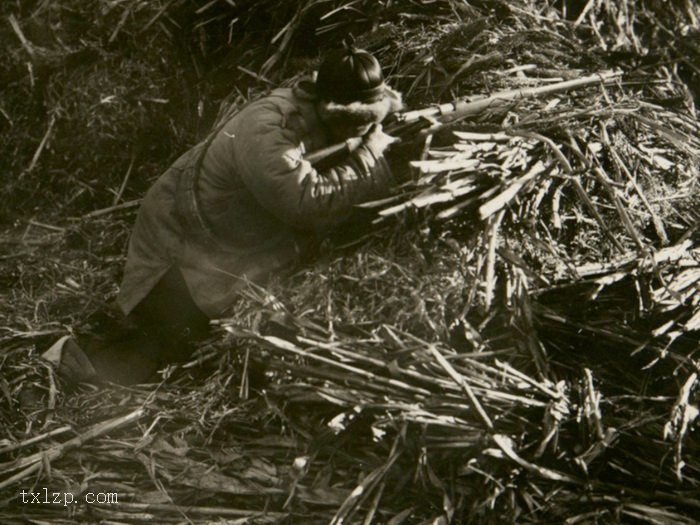 图片[6]-Old photos of mustache (bandit) in western Liaoning in 1932-China Archive