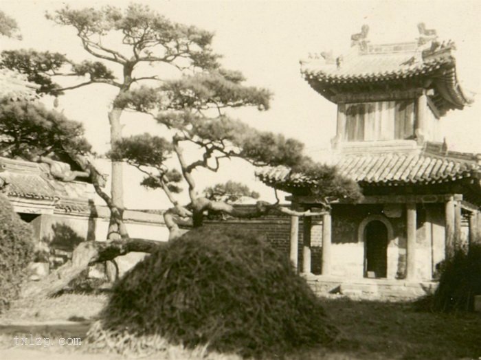 图片[8]-1932 Old photos of Shanhaiguan, Qinhuangdao, Hebei-China Archive