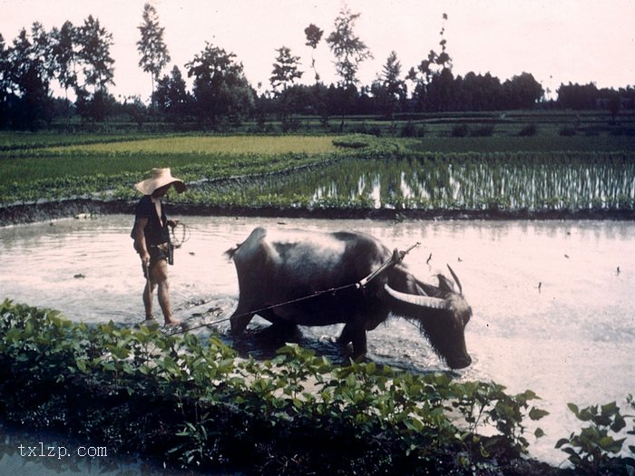 图片[8]-The old photos of Chengdu taken by the Vice President of the United States in 1944-China Archive