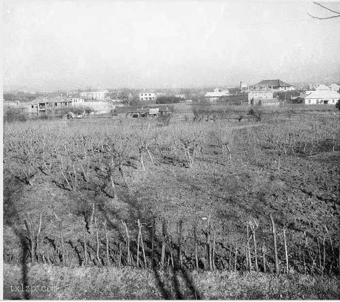 图片[5]-Old photos of Nanjing, Jiangsu in 1931 (II)-China Archive