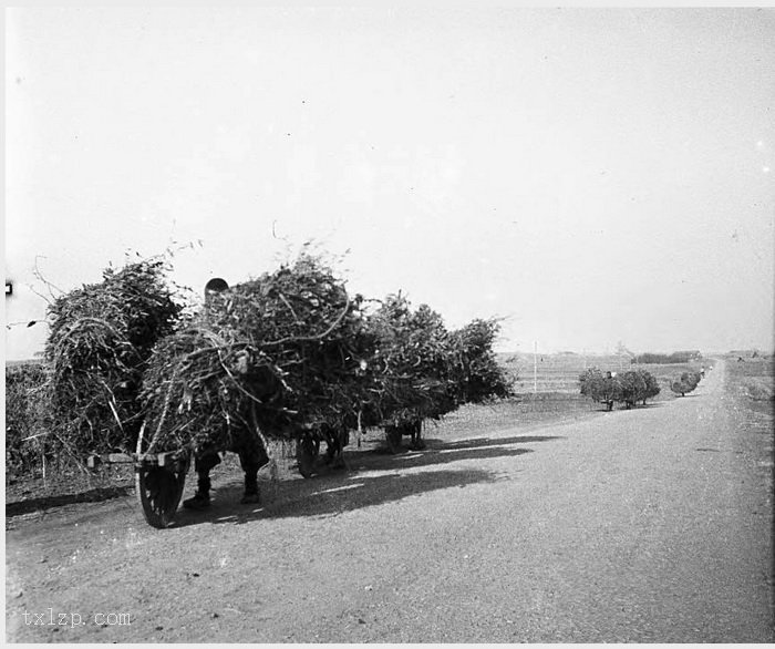 图片[17]-Old photos of Nanjing, Jiangsu in 1931 (II)-China Archive