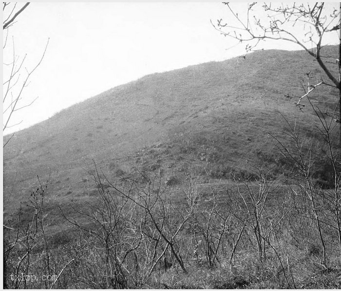 图片[20]-Old photos of Nanjing, Jiangsu in 1931 (II)-China Archive