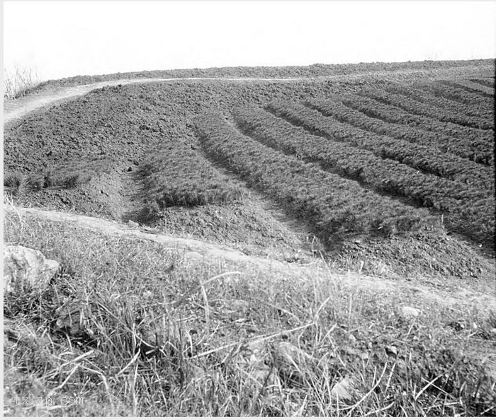 图片[19]-Old photos of Nanjing, Jiangsu in 1931 (II)-China Archive