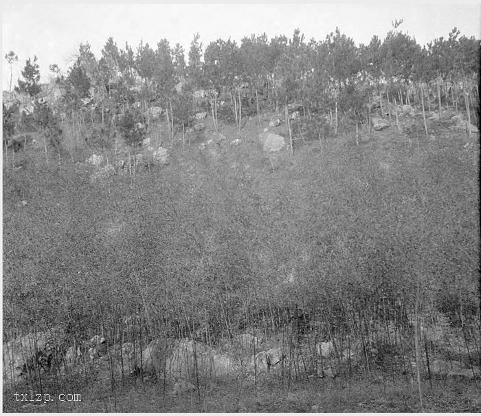 图片[3]-Old photos of Nanjing, Jiangsu in 1931 (III)-China Archive