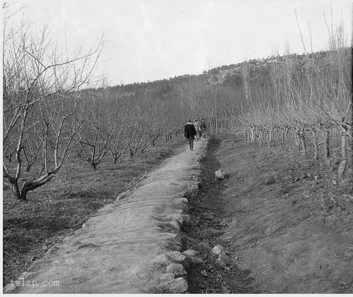 图片[4]-Old photos of Nanjing, Jiangsu in 1931 (III)-China Archive