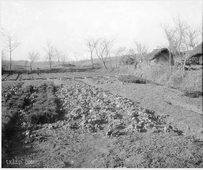 图片[7]-Old photos of Nanjing, Jiangsu in 1931 (III)-China Archive