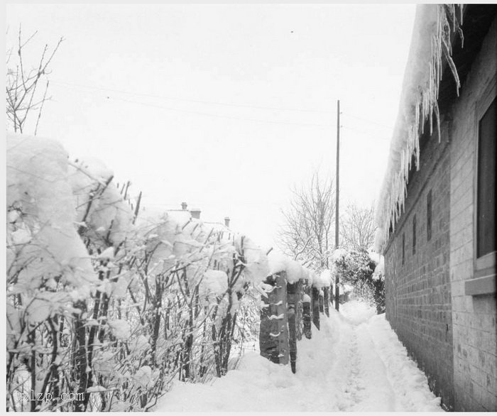 图片[11]-Old photos of Nanjing, Jiangsu in 1931 (III)-China Archive