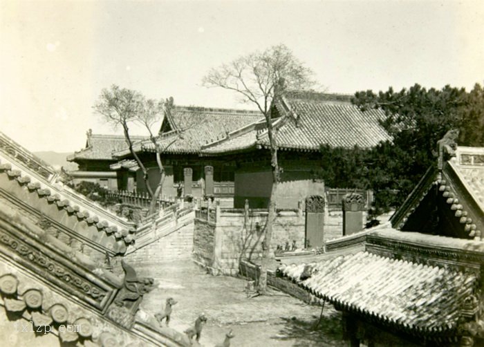 图片[11]-Old photos of Jinzhou North Town, Liaoning, 1934-1935-China Archive