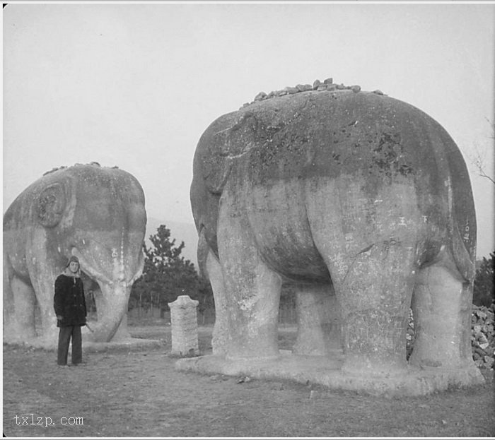 图片[11]-Old photos of Nanjing, Jiangsu in 1931 (IV)-China Archive