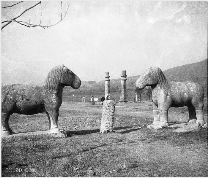 图片[15]-Old photos of Nanjing, Jiangsu in 1931 (IV)-China Archive