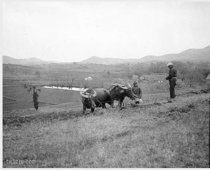 图片[17]-Old photos of Nanjing, Jiangsu in 1931 (5)-China Archive