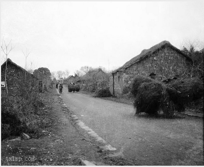 图片[19]-Old photos of Nanjing, Jiangsu in 1931 (5)-China Archive