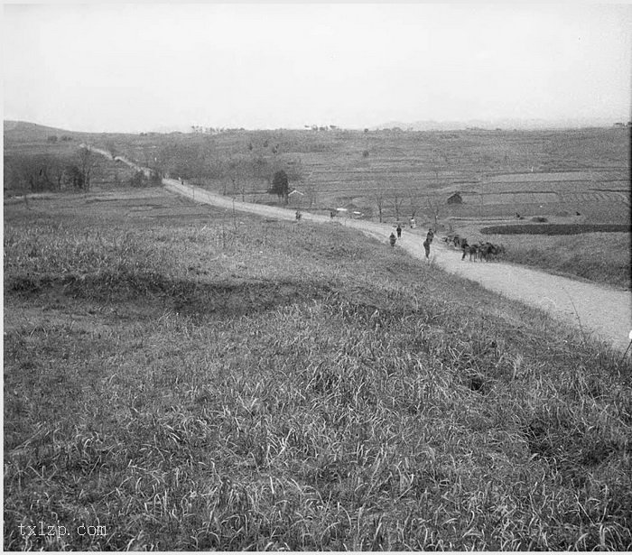 图片[20]-Old photos of Nanjing, Jiangsu in 1931 (6)-China Archive