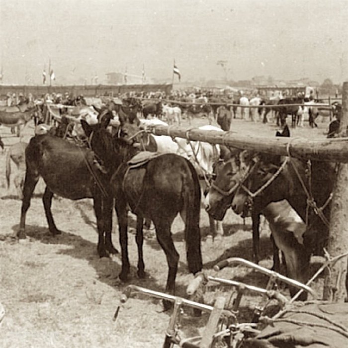 图片[6]-Old photos of cave dwelling life in Linfen, Shanxi in 1939-China Archive