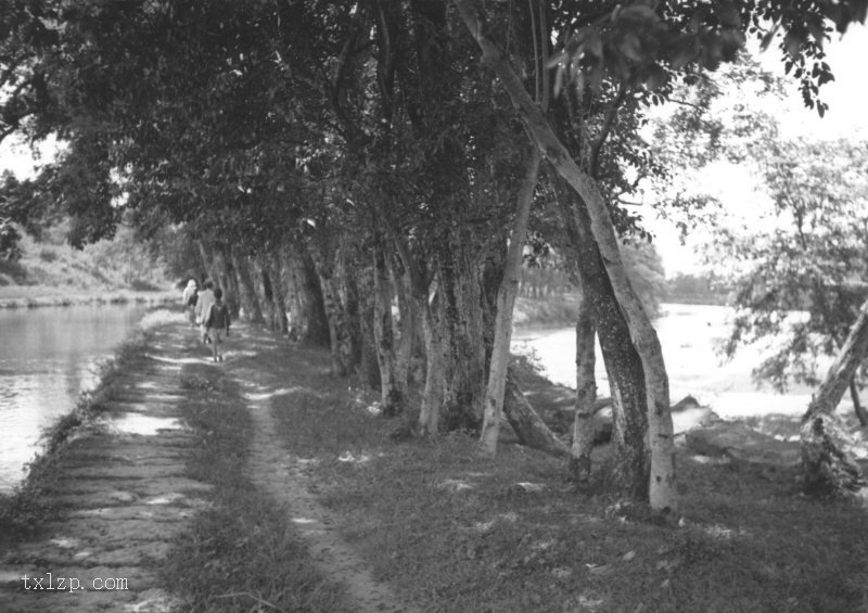 图片[3]-Old photo of Xing’an [Lingqu], Guangxi in 1930-China Archive