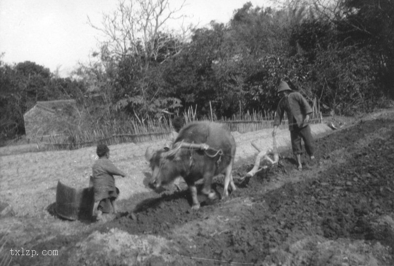 图片[6]-Old photos of Guangxi scenery in 1930-China Archive