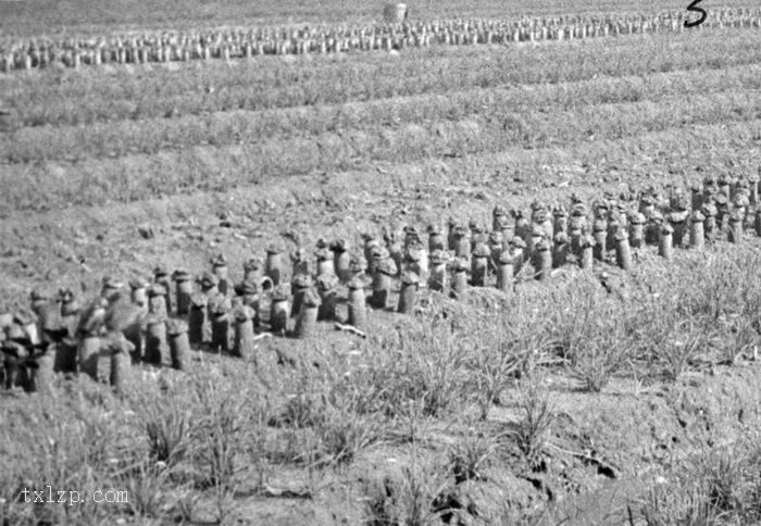 图片[2]-The old picture of Henan Island in Guangzhou in 1930’s Shakford Chinese Photos-China Archive