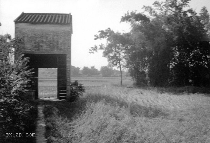 图片[29]-The old picture of Henan Island in Guangzhou in 1930’s Shakford Chinese Photos-China Archive