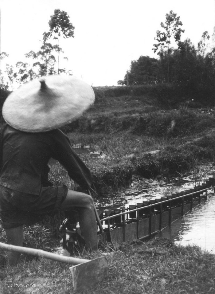 图片[37]-The old picture of Henan Island in Guangzhou in 1930’s Shakford Chinese Photos-China Archive