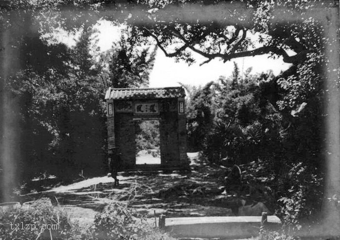 图片[41]-The old picture of Henan Island in Guangzhou in 1930’s Shakford Chinese Photos-China Archive