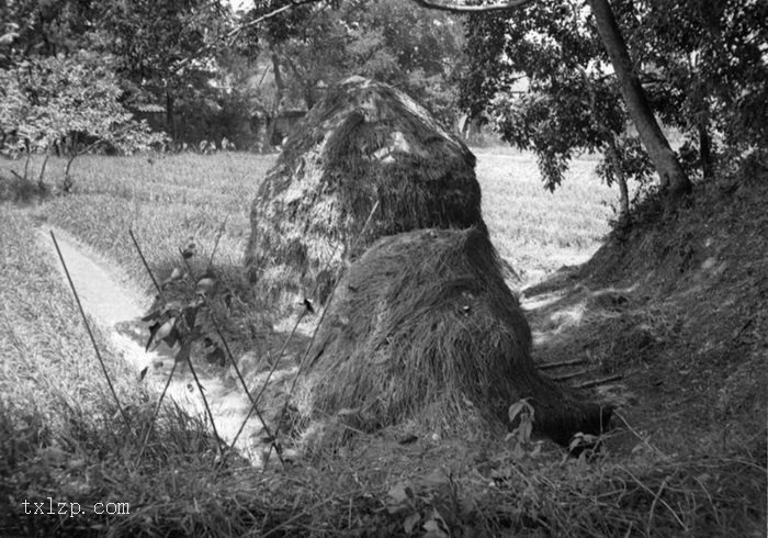 图片[45]-The old picture of Henan Island in Guangzhou in 1930’s Shakford Chinese Photos-China Archive