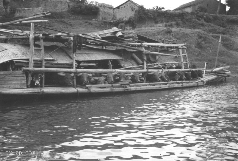 图片[20]-Old photos of Lijiang River scenery in Guangxi in 1930-China Archive