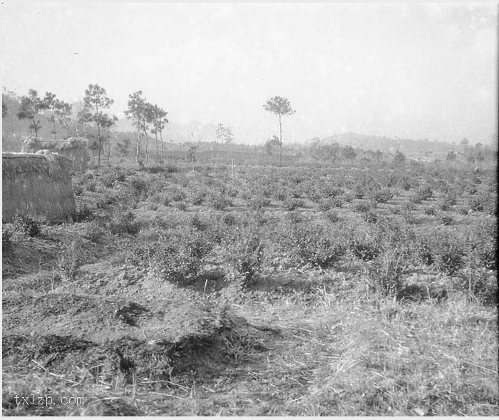 图片[14]-Old photos of Hangzhou and its surrounding areas in 1931 (Part 1)-China Archive