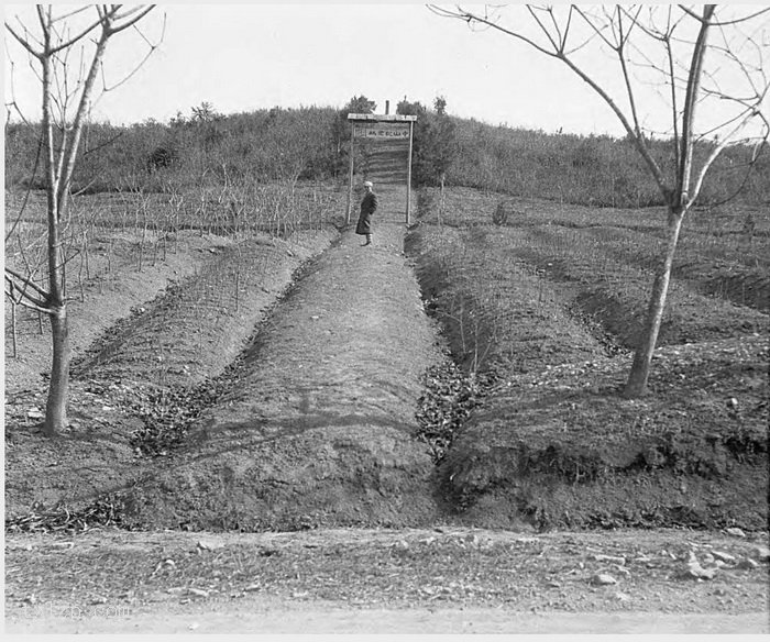 图片[17]-Old photos of Hangzhou and its surrounding areas in 1931 (Part 1)-China Archive