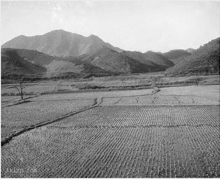 图片[27]-Old photos of Hangzhou and its surrounding areas in 1931 (Part 1)-China Archive