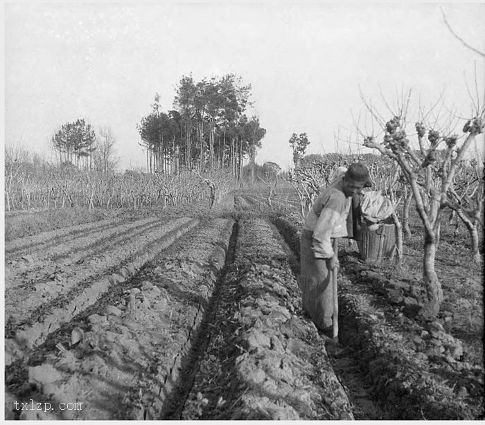 图片[8]-Old photos of Hangzhou and its surrounding areas in 1931 (Part 2)-China Archive