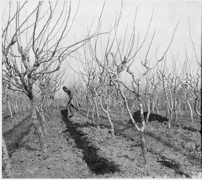 图片[19]-Old photos of Hangzhou and its surrounding areas in 1931 (Part 2)-China Archive