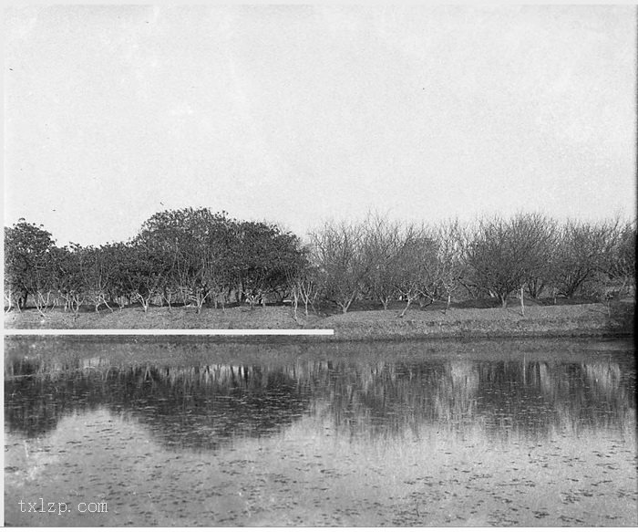 图片[25]-Old photos of Hangzhou and its surrounding areas in 1931 (Part 2)-China Archive