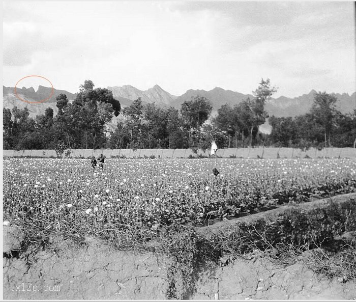 图片[17]-Old photos of Salaqi County (now Baotou) in Suiyuan in 1931-China Archive