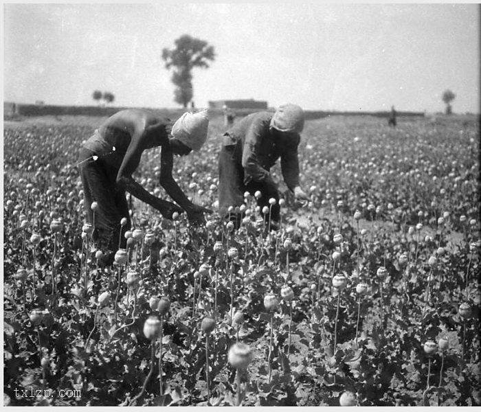 图片[21]-Old photos of Salaqi County (now Baotou) in Suiyuan in 1931-China Archive