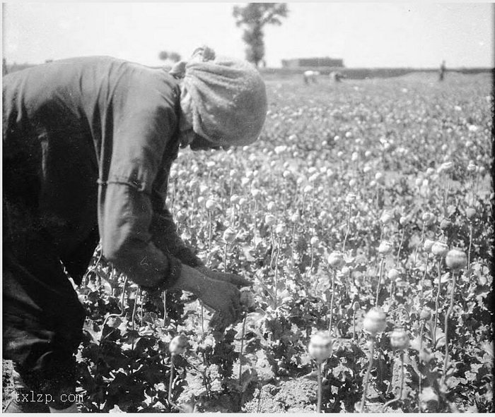 图片[22]-Old photos of Salaqi County (now Baotou) in Suiyuan in 1931-China Archive