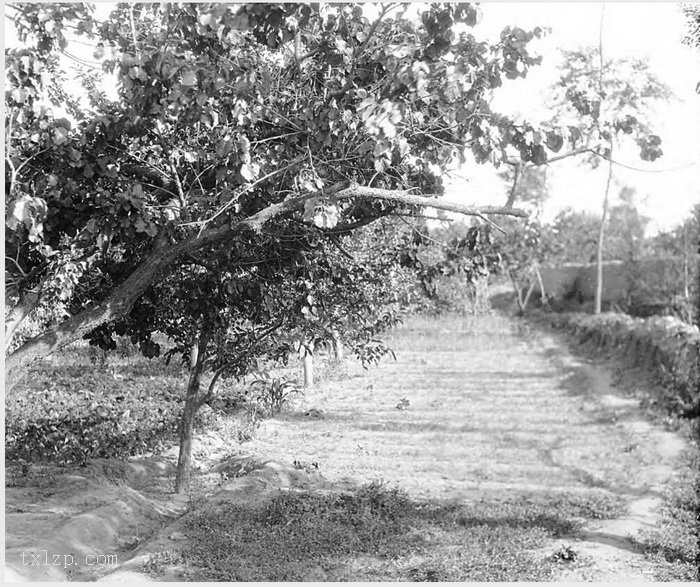 图片[20]-Old photos of Salaqi County (now Baotou) in Suiyuan in 1931-China Archive