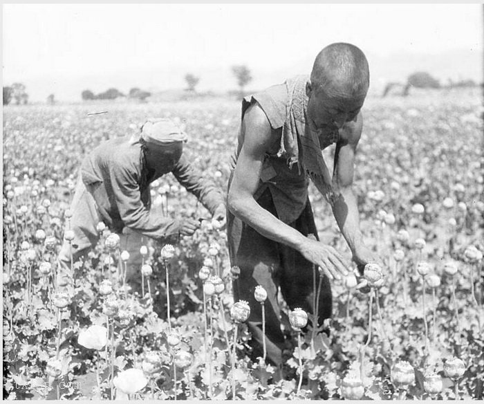 图片[23]-Old photos of Salaqi County (now Baotou) in Suiyuan in 1931-China Archive