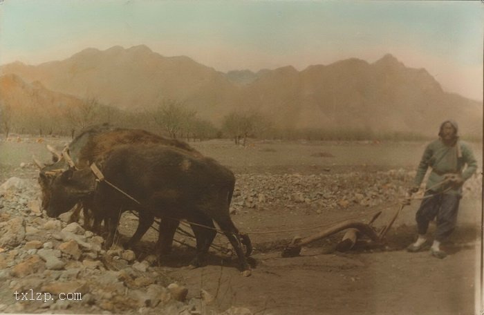 图片[19]-Color Photos in Beijing from 1920 to 1930 (Part 1)-China Archive