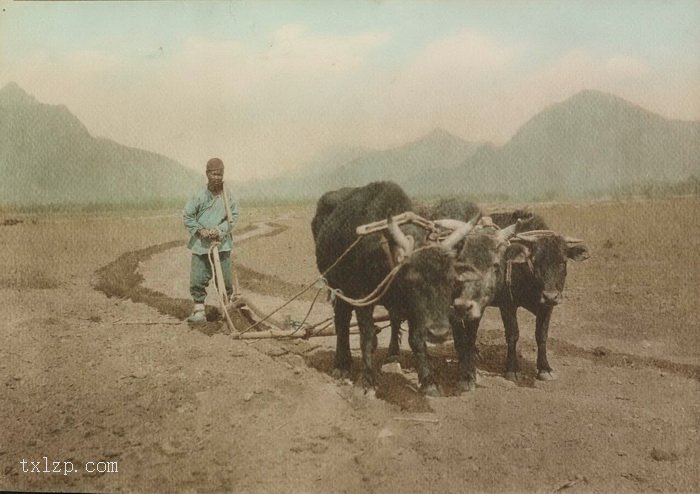 图片[12]-Color Photos in Beijing from 1920 to 1930 (Part 2)-China Archive