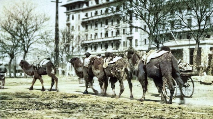 图片[6]-In 1923, the life photos of Chinese people in the Beiyang period-China Archive