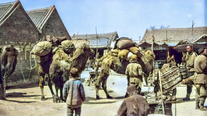 图片[10]-In 1923, the life photos of Chinese people in the Beiyang period-China Archive