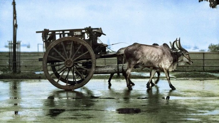 图片[8]-In 1923, the life photos of Chinese people in the Beiyang period-China Archive