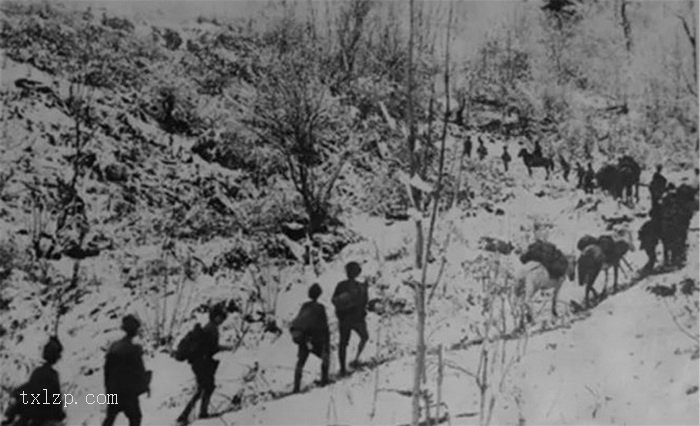 图片[4]-The Japanese aggressors who are besieging and suppressing the Northeast Anti Japanese Army soldiers took photos-China Archive