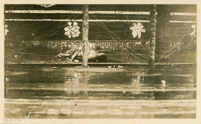 图片[23]-In 1900, the Qing government executed the Boxer in bloody live action scenes-China Archive