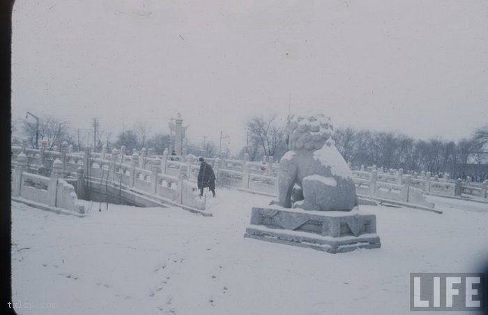 图片[19]-Real old photos of Tian’anmen Square in 1940s-China Archive