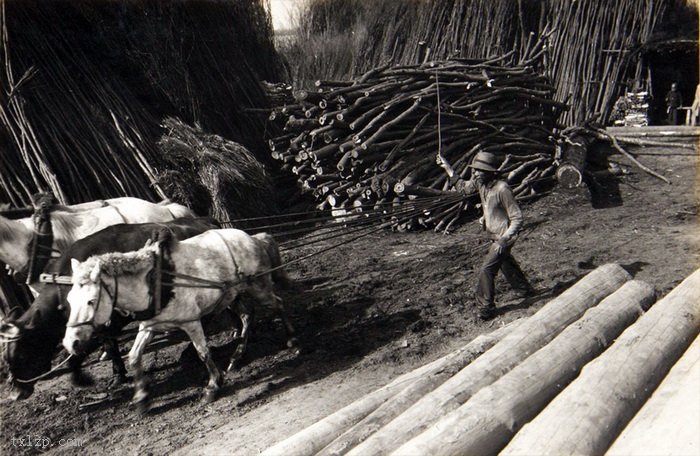 图片[8]-Old photos of Fujin City, Jiamusi, Heilongjiang in 1934-China Archive