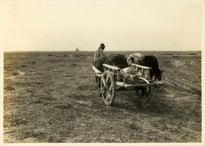 图片[4]-Old photos of Tongliao, Inner Mongolia in 1924-China Archive