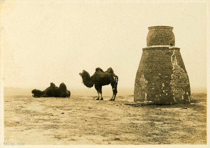 图片[8]-Old photos of Tongliao, Inner Mongolia in 1924-China Archive