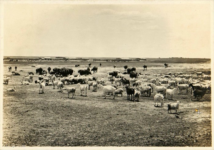 图片[7]-Old photos of Tongliao, Inner Mongolia in 1924-China Archive