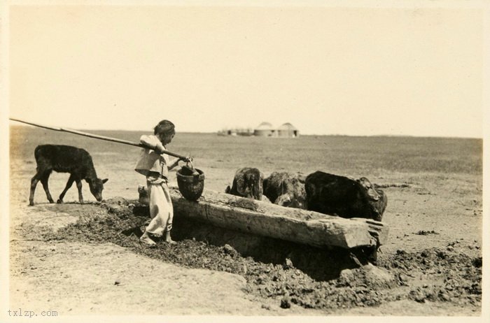 图片[9]-Old photos of Tongliao, Inner Mongolia in 1924-China Archive